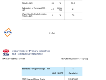 500mt Canola Hay 570-650kg 8x4x3 Bales