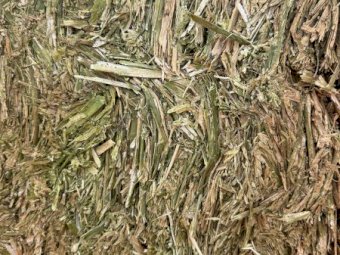 500mt Canola Hay 570-650kg 8x4x3 Bales