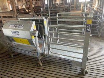 Peak Hill Immobilizer