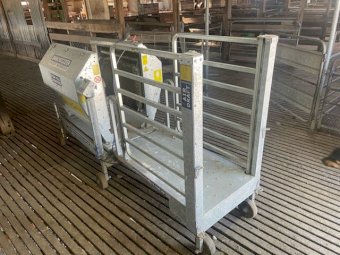 Peak Hill Immobilizer