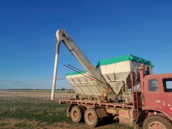 ABE 16Ft Grouper Bin