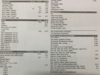 200mt Vetch Hay 600kg 8x4x3 Bales