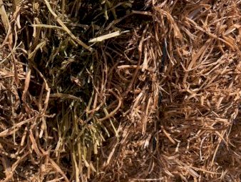 200mt Vetch Hay 600kg 8x4x3 Bales