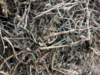 200mt Vetch Hay 620kg 8x4x3 Bales