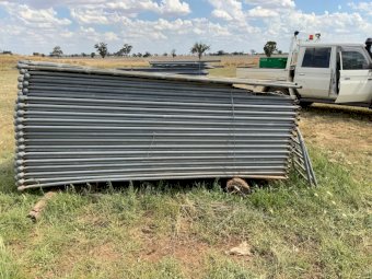 700 Head Cyclone Sheep Yards