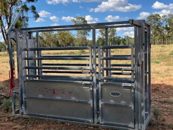 Beef Boss Cattle Crush