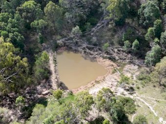 440 Acres Agistment or Lease Land