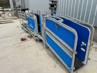 Te Pari Racewell HD4 Sheep Handler