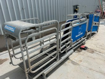 Te Pari Racewell HD4 Sheep Handler