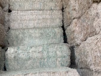 150 mt Vetch Hay 23/24 Season Shedded