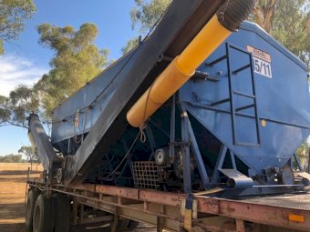 Jetstream 1511 Grouper