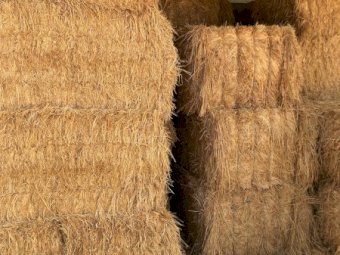 45MT Oaten Hay 8X4X3 Large Square Bales