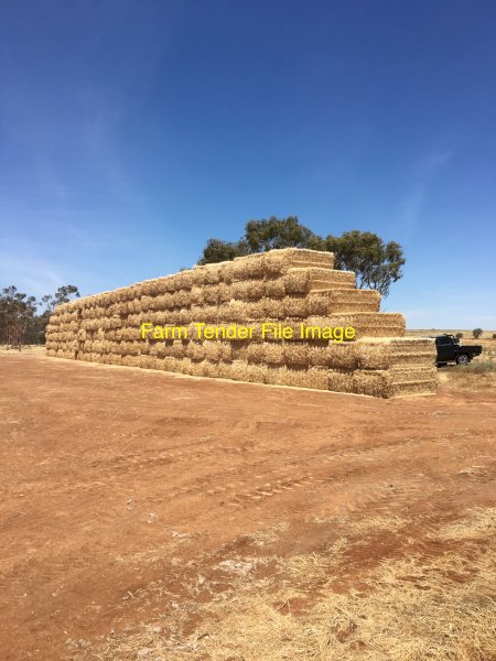 220 mt Windrowed Wheaten Straw