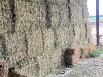 70 mt Oaten Hay