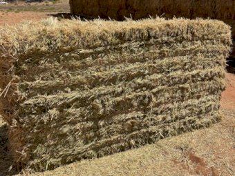 330mt Barley Hay 660kg 8x4x3 Bales