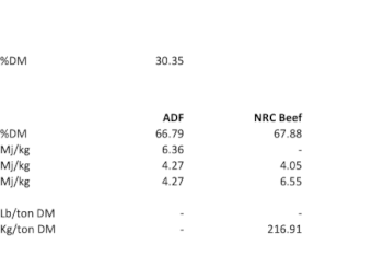 330mt Barley Hay 660kg 8x4x3 Bales