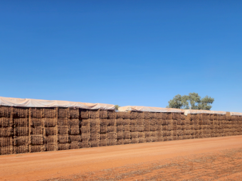 1500mt Vetch Hay 630kg 8x4x3 Bales