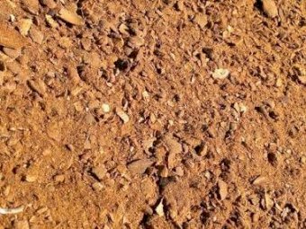 WANTED Milled Almond Hulls