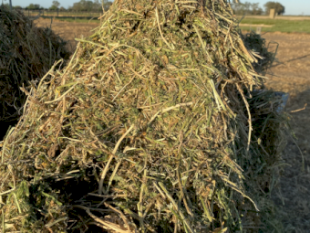 2023 Season A1 Vetch Hay