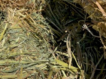 2024 Season Oaten Hay