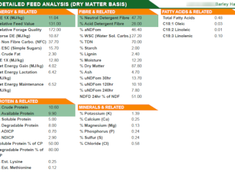 250mt Barley Hay 8x4x3 Bales