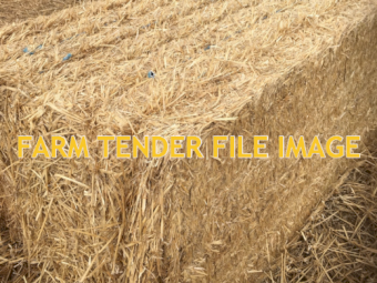 EOI Windrowed Wheaten Straw 450-500kg 8x4x3 Bales