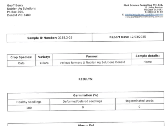 100mt Yallara Seed Oats