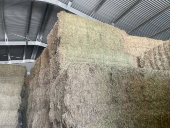 40mt Vetch Hay 580-600kg 8x4x3 Bales