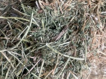 40mt Vetch Hay 580-600kg 8x4x3 Bales