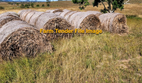 WANTED  Cereal Hay 5X4 Round Bales