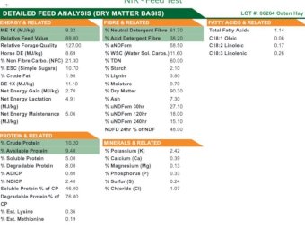 Oaten Hay Baron packs of 21