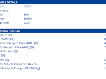 400mt Barley Hay 650kg 8x4x3 Bales