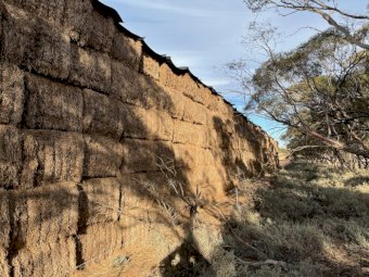 90MT Vetch Hay 8X4X3 Large Square Bales