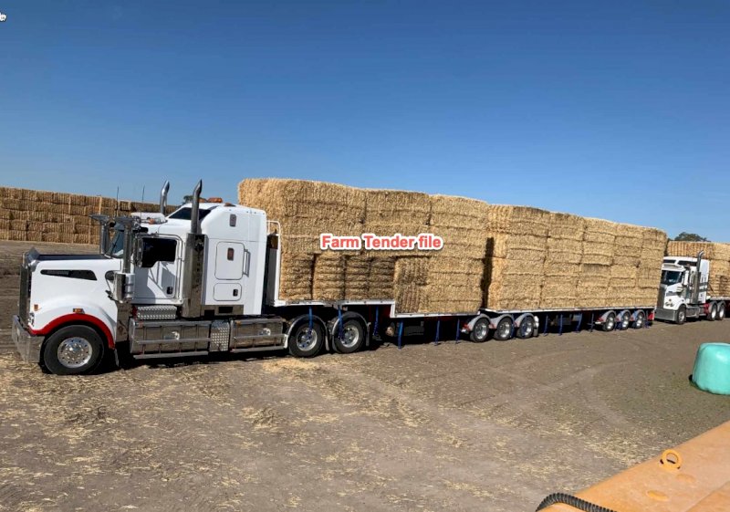 120mt Barley Hay 8x4x3 Bales