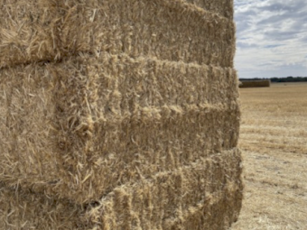 200mt Wheaten Straw 8x4x3 Bales