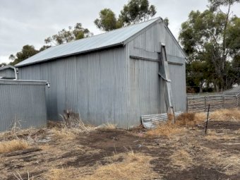 Various Sheds For Sale