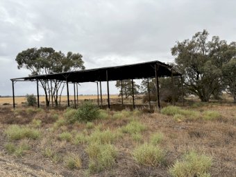 Various Sheds For Sale