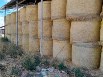 24 Season Clover and Rye Grass Round Bales