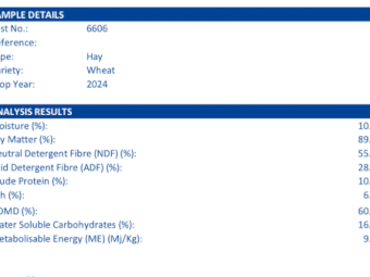 500mt Wheaten Hay 610kg 8x4x3 Bales