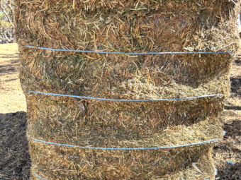 Vetch Hay - B Double Load