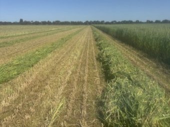 40 mt Oaten Hay  24/25 Season