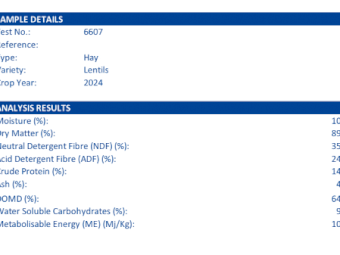 400mt Lentil Hay 625kg 8x4x3 Bales
