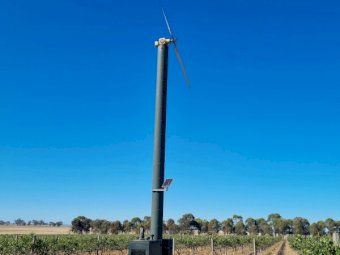 Amarillo 2 Blade Frost Fans x 4 Units