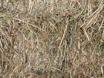 300mt Oaten Hay 650kg 8x4x3 Bales