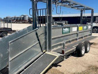 2021 Proway 6Mtr Contractor Bulk Sheep Handler