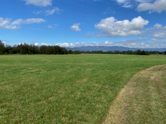 160 Fresh Silage Wrapped Round Bales