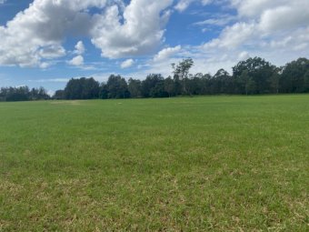 160 Fresh Silage Wrapped Round Bales