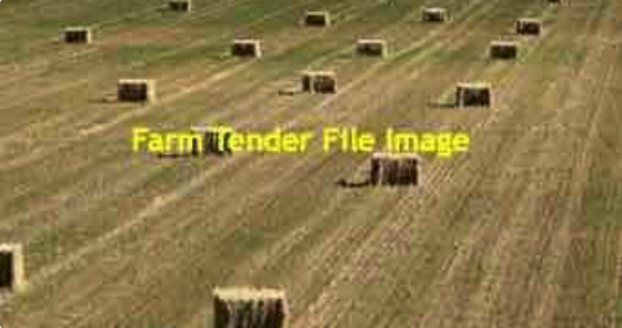 500 X Oaten Hay Small Square Bales