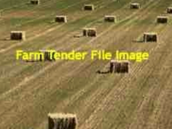 500 X Oaten Hay Small Square Bales
