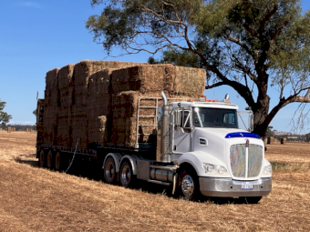 200mt Vetch Hay 620kg 8x4x3 Bales